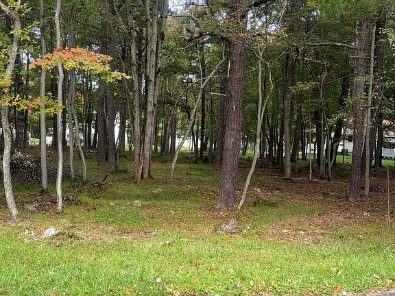 4th image of 910/911 Willow Grove Rd