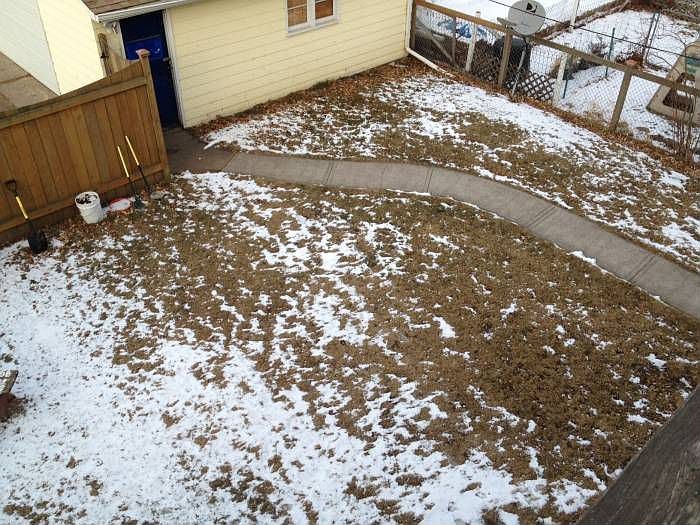 Fenced in yard