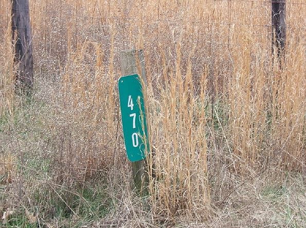 2nd image of 470 Old Man Loop