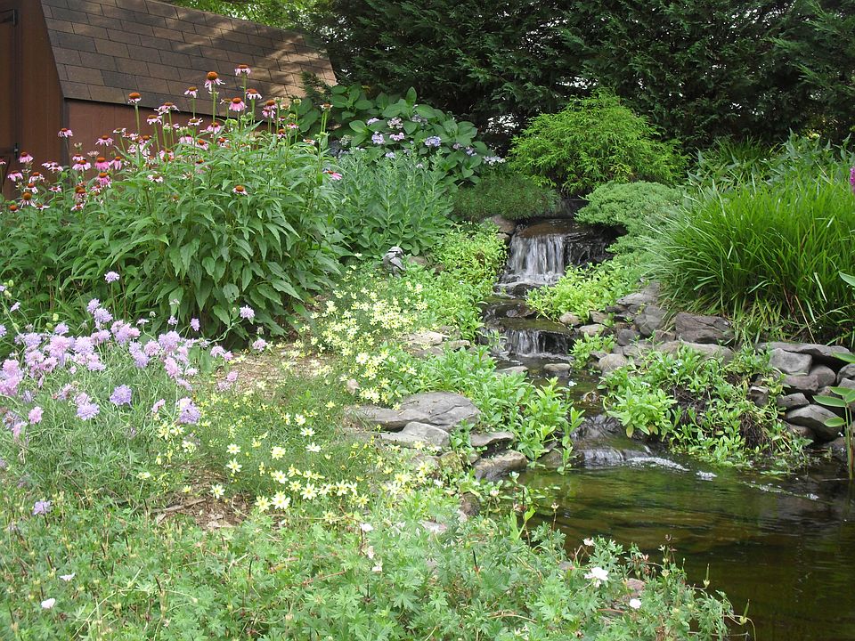 Pond with Waterfall
