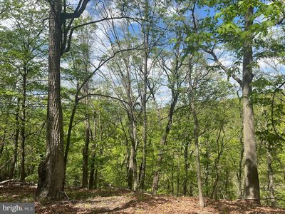 Seldom Seen Rd, Great Cacapon, WV, 25422