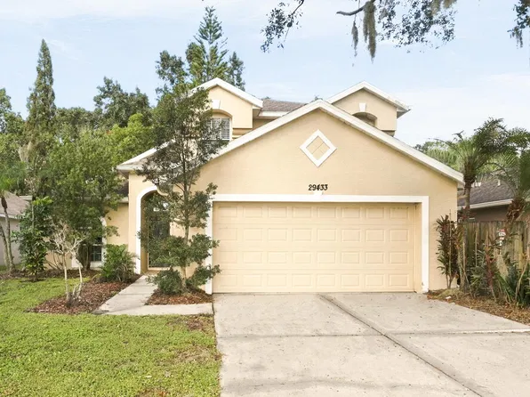 29433 Birds Eye Dr, Wesley Chapel, FL 33543