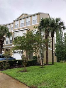 3017 Pointeview Dr, Tampa, FL, 33611