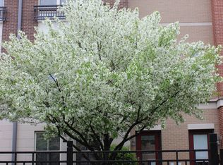 1214 W Grenshaw St, Chicago, IL 60607