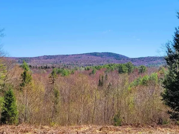 4 Youngs Road, Canton, ME 04221