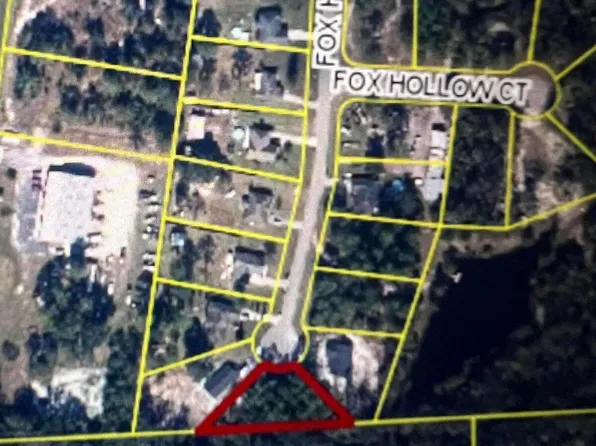 0000 FOX HOLLOW Drive, Hampton, FL 32044