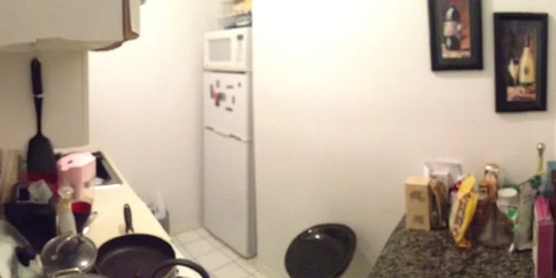 Rented by Eric Goodman Realty Corp | media 16