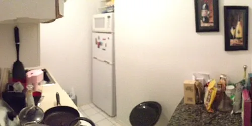 Rented by Eric Goodman Realty Corp