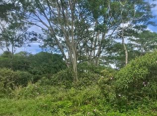 12th Avenue Koali LOT 687, Keaau, HI 96749