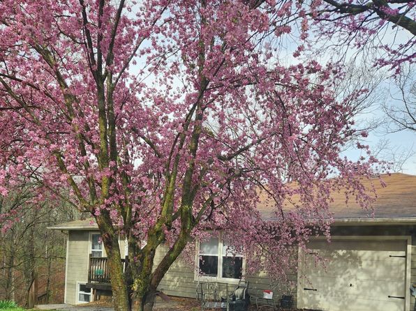 (undisclosed Address)