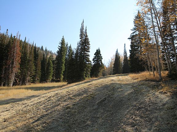 5th image of 327 White Pine Canyon Rd Lot 327