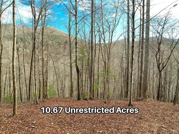 3882 Buck Creek Rd, Highlands, NC 28741