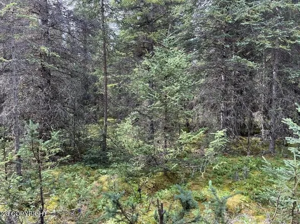 51 Sandy Ln, Kenai, AK 99611