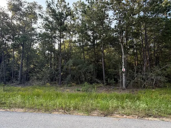202 County Road 6311 Lot 1, Dayton, TX 77535