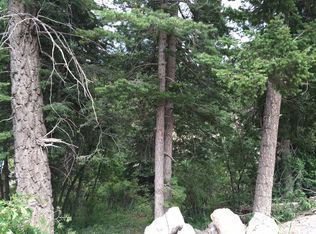 101 Shells Ln, Cloudcroft, NM 88317