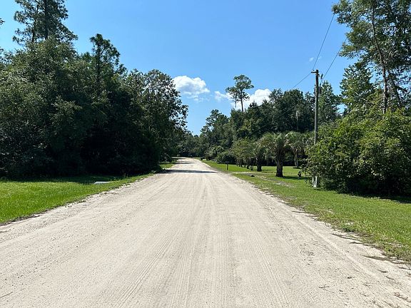 5th image of 54 Lake Ellen Shores Dr