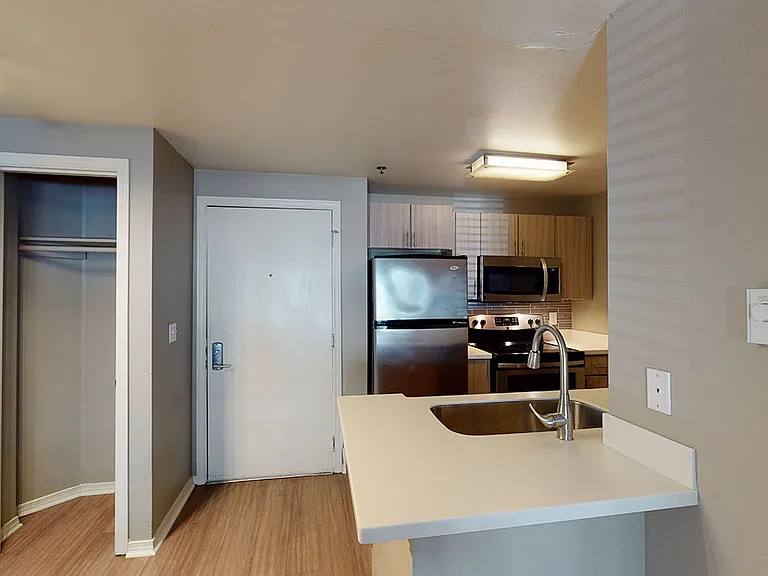 Apartment kitchen with stainless steel appliances, quartz countertops and wood-style flooring.