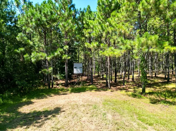 0 County Road 2289, Glenwood, AL 36034