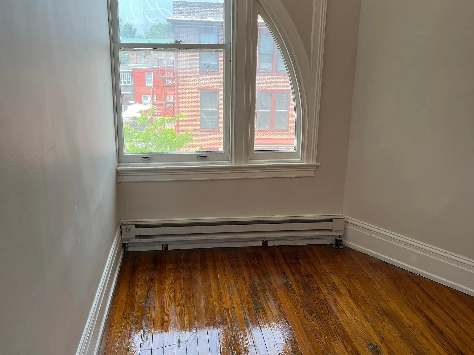Studio, $900 — Photo 3