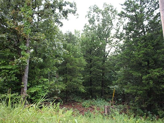 3rd image of 001-02314 One Green Forest Trl #2055AC