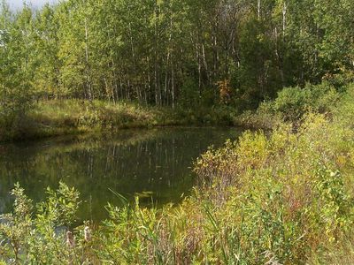 10182 Yates Rd, Kaleva, MI, 49645