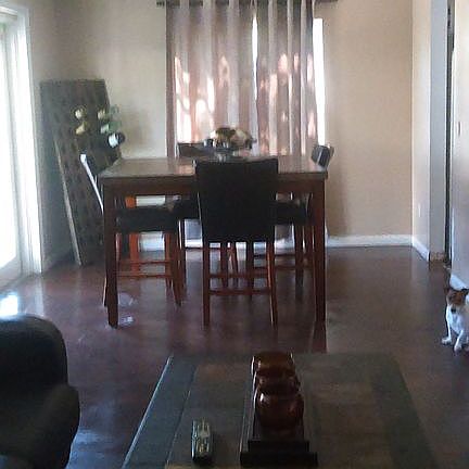 4th image of 960 Lois Ln