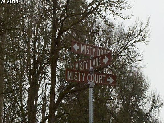 3rd image of 253 Misty Ln #1