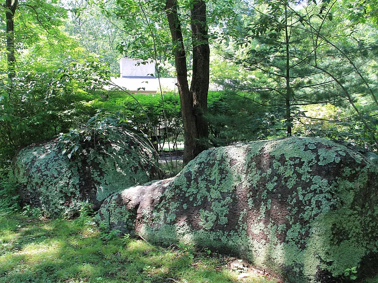 Dolan Dr — Photo 31