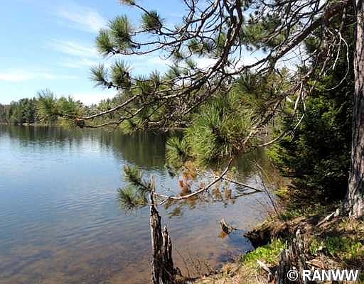 2nd image of Lot 2 White Bass Lake Road