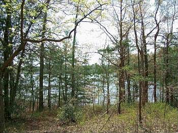 5th image of 19971 Chesdin Harbor Dr