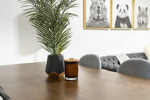 Rented by Finest Furnished LLC | media 41