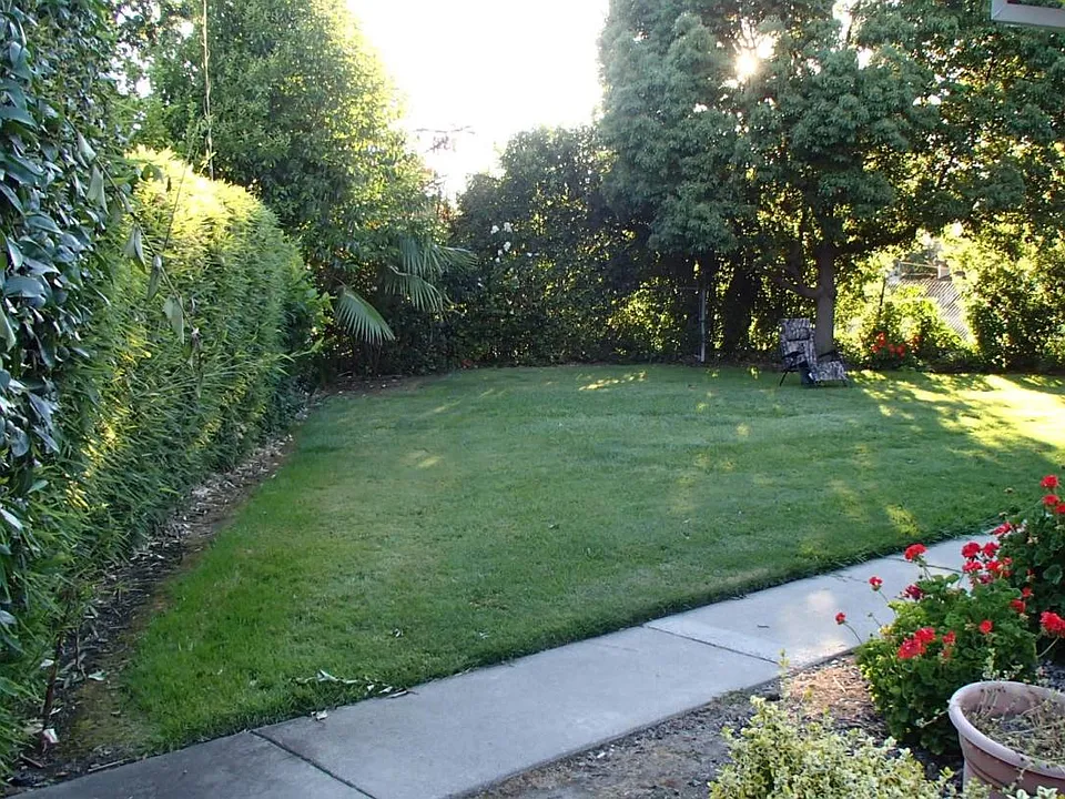 lawn