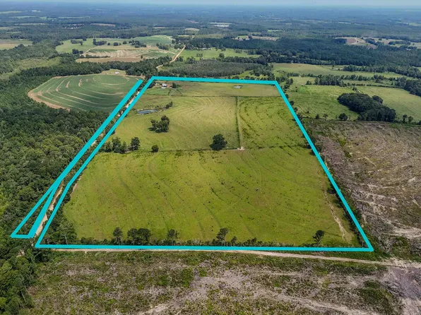 3957 Gopher Ridge Rd, Samson, AL 36477
