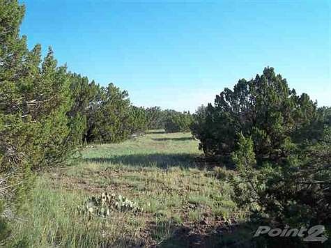 5th image of 8495 Javelina Dr