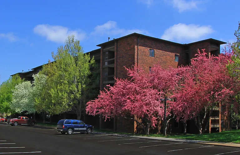 Embassy Park Apartments — Photo 28