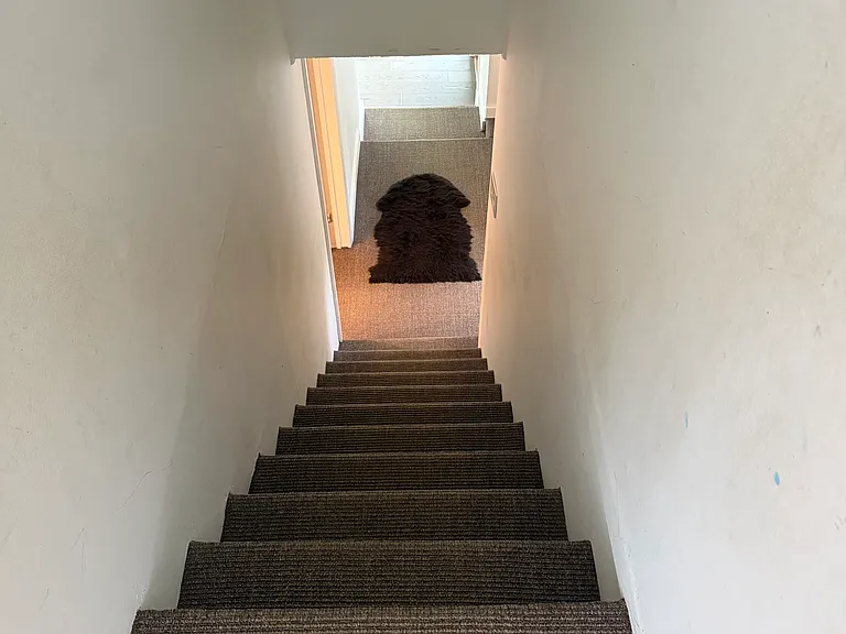 250 Redwood Rd — Photo 11