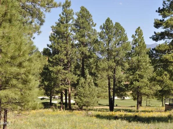 1600 E Castle Hills Drive #4, Flagstaff, AZ 86005