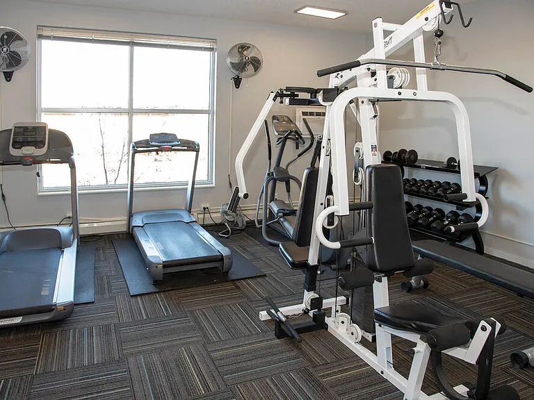 Cardio and Weight Machines