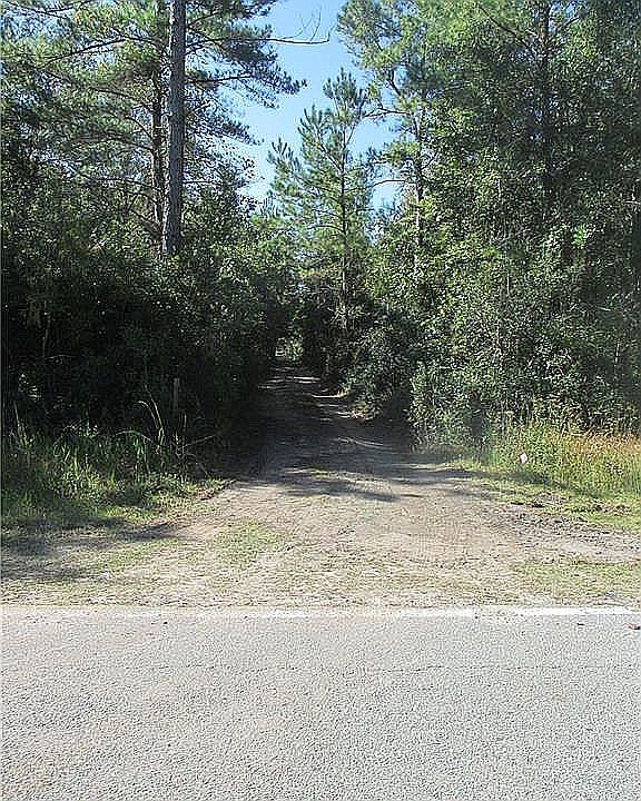 Right-Away Buck Swamp Road