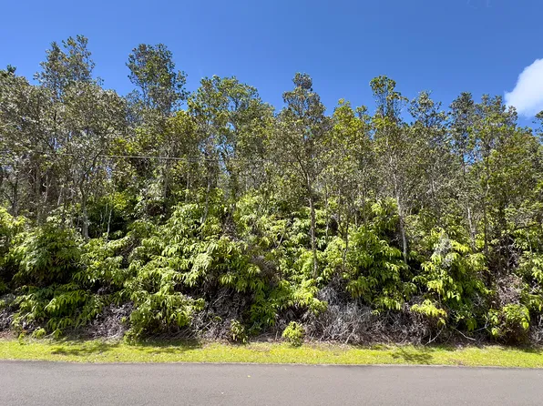 12th St Lot 1017, Volcano, HI 96785