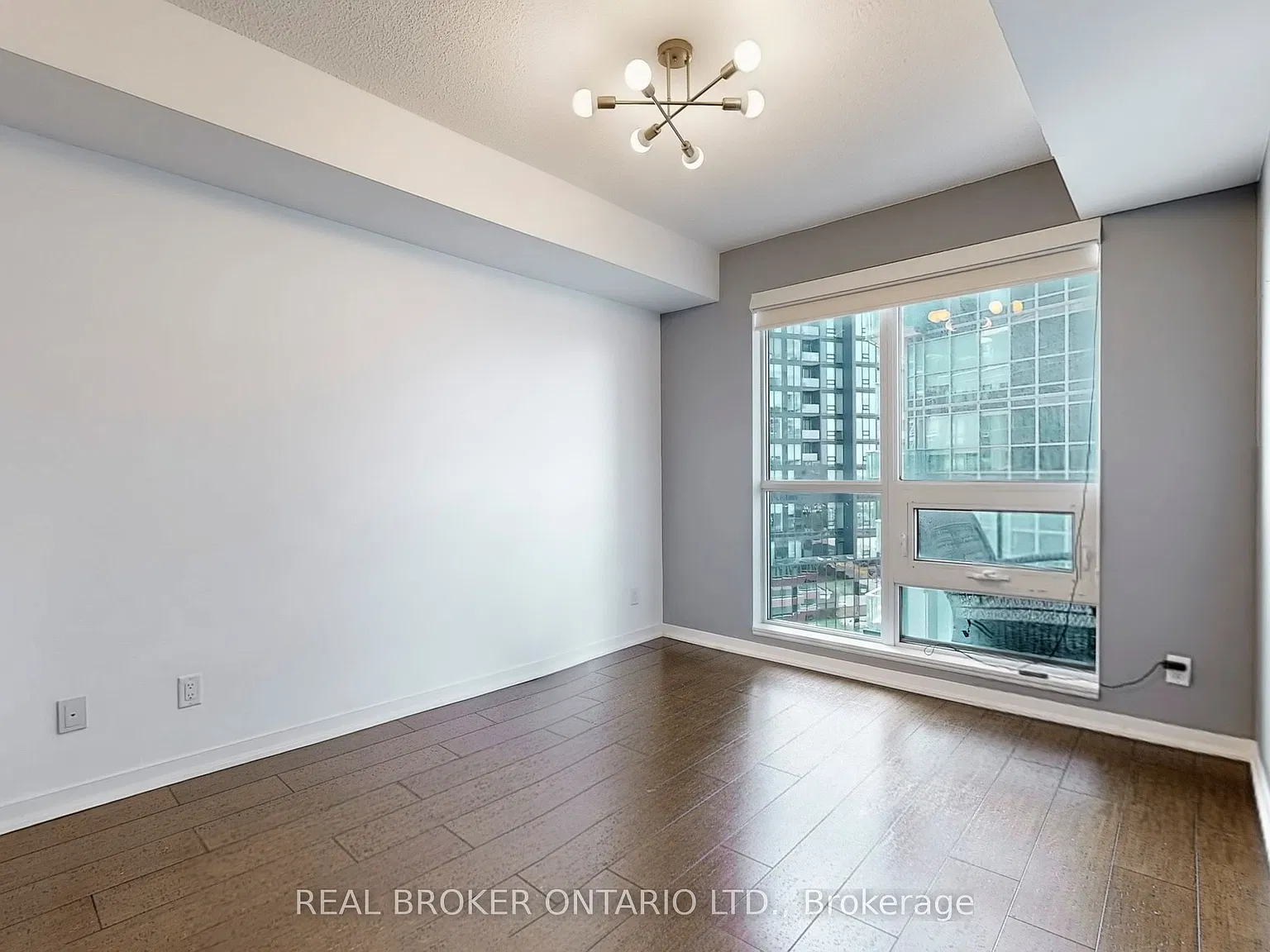 69 Lynn Williams St — Photo 4