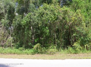 439 S Snapp Ave, Inverness, FL 34453