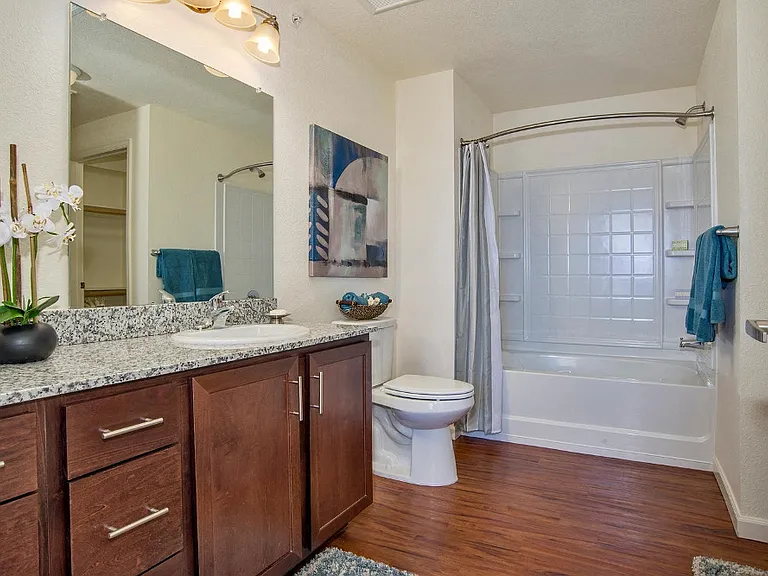 Granite Countertops in Select Units