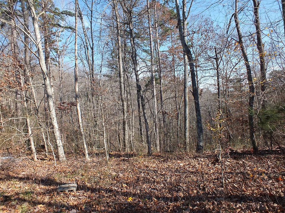 2nd image of 790 Brammer Hill Ridge Rd