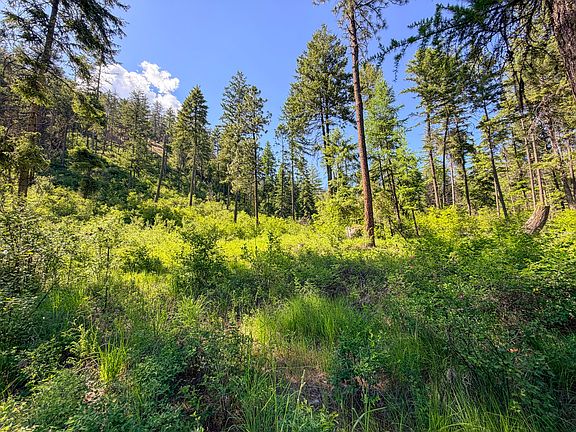 4th image of 2008 Summit Valley Rd