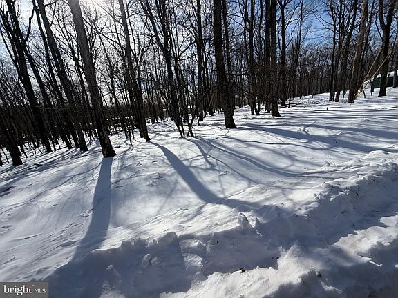 4th image of 284 Killington Dr