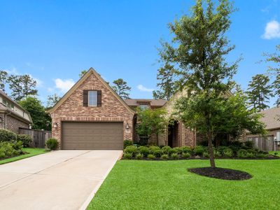 204 Terrain View Ct, Willis, TX, 77318