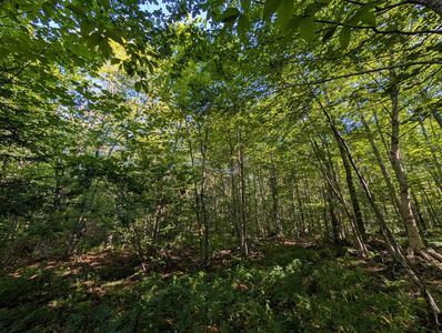 00 Highland Drive #1, Montgomery Center, VT, 05471