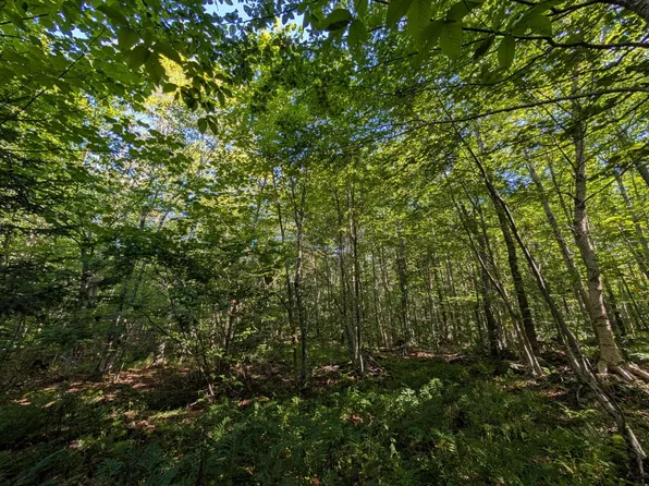 00 Highland Drive #1, Montgomery, VT 05471