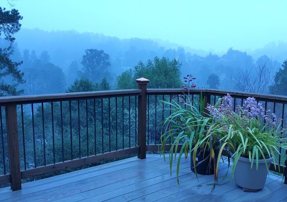 1st image of 738 Marin Dr